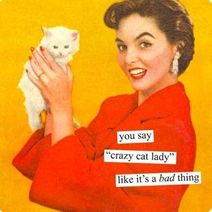 You say crazy cat lady like it’s a bad thing.